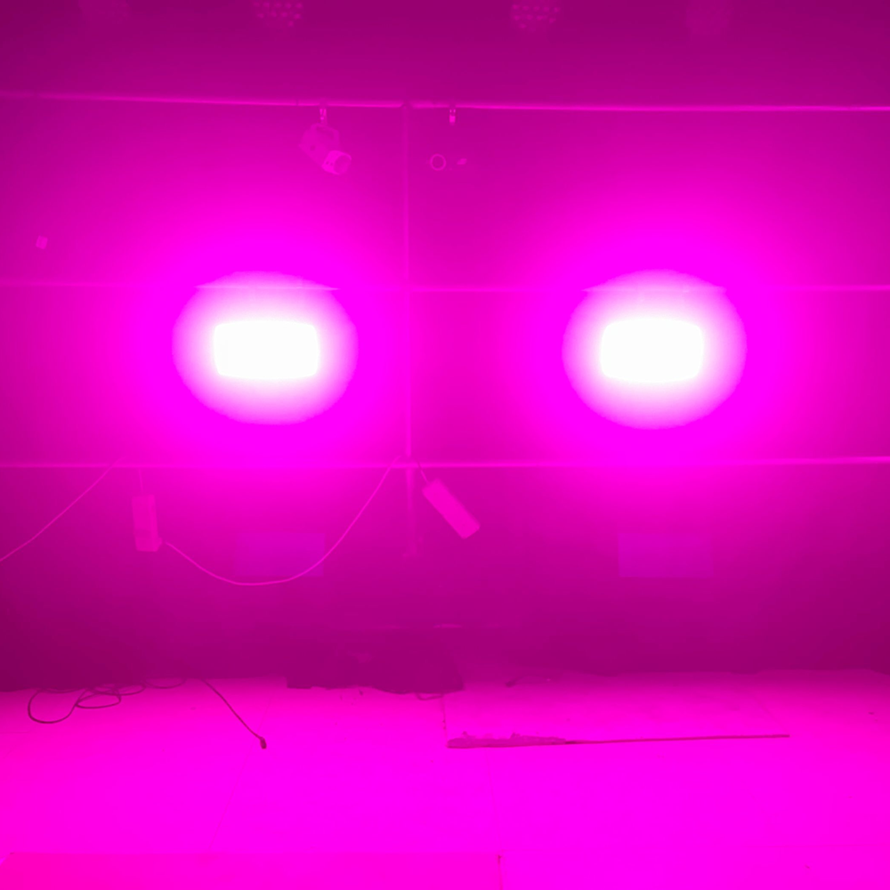 2PCS 300W LED Beam&Strobe RGBW 48 Partition Strobe Light 24PCS 8000K Strobe DMX Super Bright Dj Wash Bar Stage Lighting Effects