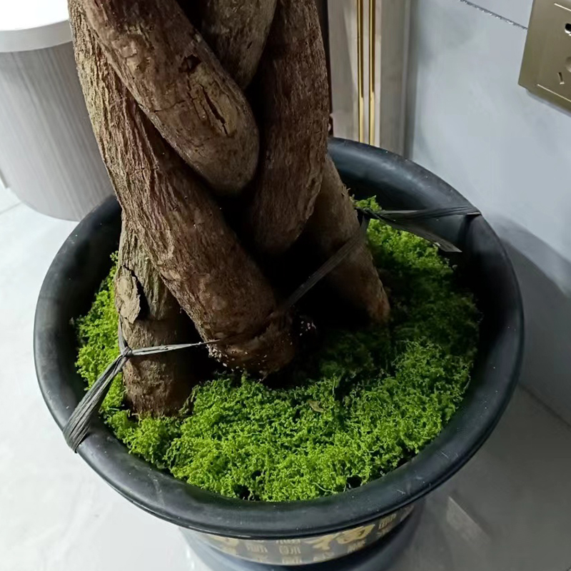 about 20g Artificial Green Plants Polyester Moss Grass Home Living Room Garden Decoration Mini Landscape Fake Flower DIY Crafts