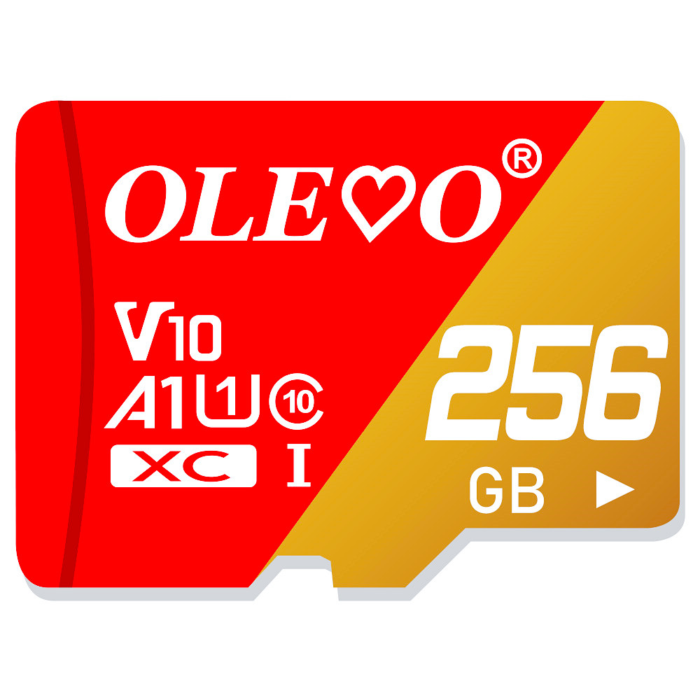 memory cards 4GB 8GB 16GB High speed minisd 32GB 64GB class 10 mini sd card cartao de memoria TF card for smartphone GB