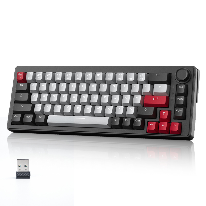DAREU 2.4G Wireless Mechanical Gaming Keyboard 4000mAh Red Switch All Key Non-conflict Rainbow Lighting with Multifunction Knob black / Red Switch